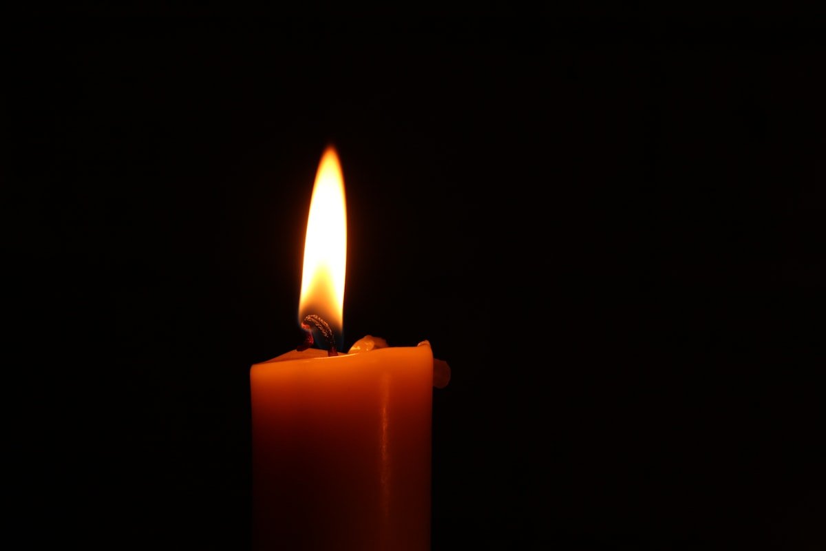 Scented Soy Candle - Oud & Rose